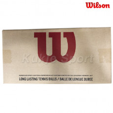 챔피언쉽 볼 1박스(36캔)