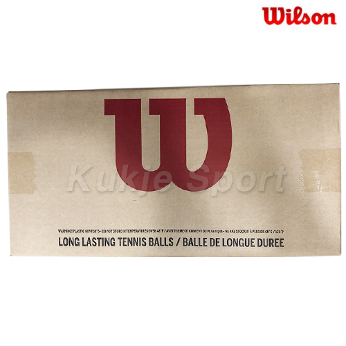 챔피언쉽 볼 1박스(36캔)