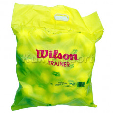 윌슨 트레이너 연습볼(60개 포장)