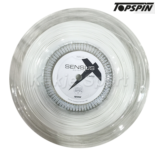 센서스 로테이션