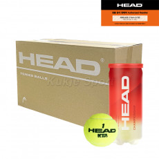 헤드 챔피언쉽 테니스볼(1박스, 36캔)